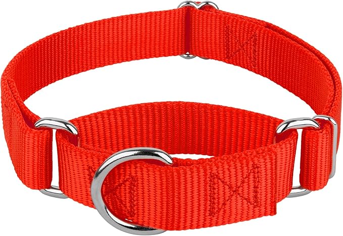 Country Brook Petz - Martingale Dog Collar - Heavy-Duty Training Collar with No Buckle - Service Dog Collar for All Pups - 10+ Warm Colors (Hot Orange, 1 Inch, Medium)
