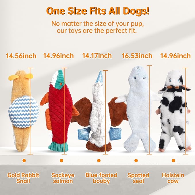 Nocciola Squeaky Dog Toys, 5-Pack Crinkle Plush Toys, No Stuffing Dog Toys for Small Medium Large Dogs, Boredom Relief