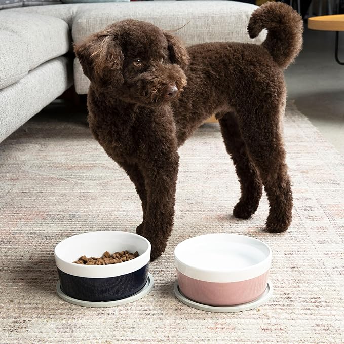 Waggo Dipper Ceramic Dog Bowl for Small and Large Breeds - Heavyweight and Durable Pet Food and Water Dish Crock, Dishwasher Safe, Modern (Mauve, Medium)