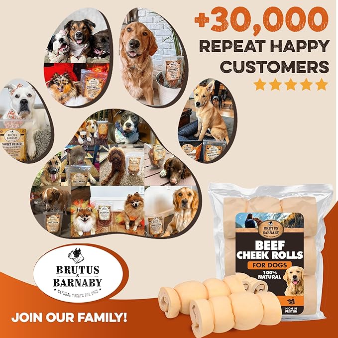 Premium Beef Cheek Rolls for Dogs 10-12" - (3-Pack) Long Lasting, Safe & Natural Rawhide Alternative Chews, Ideal for Large Dogs & Aggressive Chewers, Supports Dental Health & Digestion
