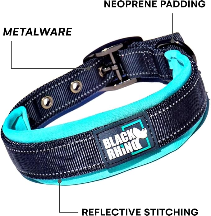 Black Rhino Dog Collars for Medium Dogs - Adjustable Reflective Heavy Duty Dog Collar with Ultra-Soft Neoprene Padding - Weatherproof, Durable, and Comfortable - Ideal for Active Dogs - Aqua and Gray