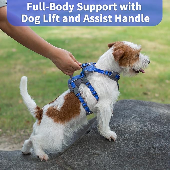 Huntboo Reflective Dog Harness with Handle, Escape Proof, No Slip, Breathable, Lightweight, Adjustable Lift Harness for Small, Medium, and Large Dogs Walking, Training, and Running Gear(Sea Blue,XS)
