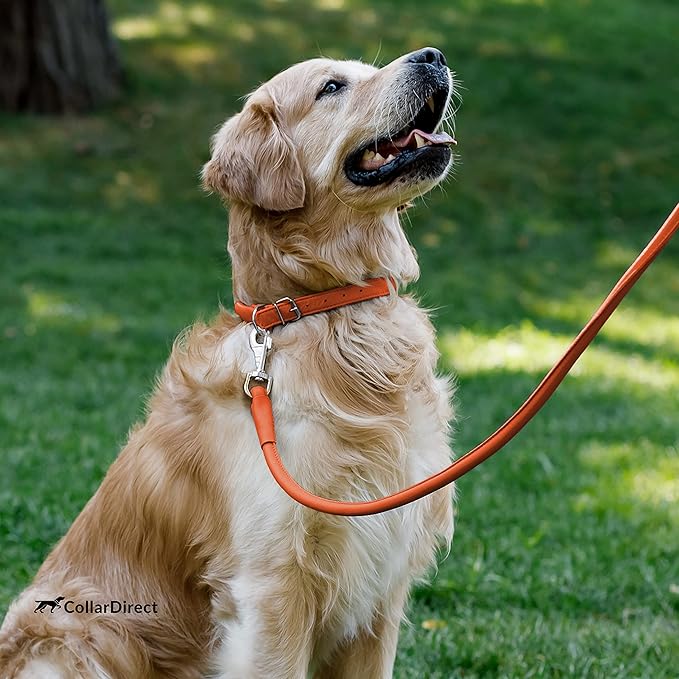 CollarDirect Rolled Leather Dog Collar, Soft Padded Round Puppy Collar, Handmade Genuine Leather Collar Dog Small Large Cat Collars 13 Colors (6-7 Inch, Orange Textured)