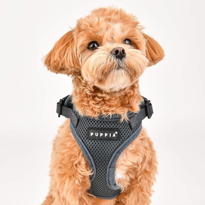 Authentic Puppia RiteFit Harness with Adjustable Neck, Green, Large