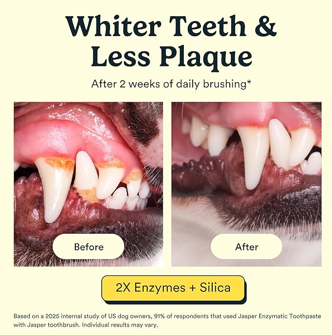 Jasper Dog Toothpaste Double Enzymatic - Plaque Remover for Teeth, Whitens Teeth, Improves Bad Breath Natural Pet Toothpaste, Chicken/Poultry Flavor 3.5oz