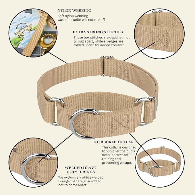 Country Brook Petz - Martingale Dog Collar - Heavy-Duty Training Collar with No Buckle - Service Dog Collar for All Pups - 10+ Warm Colors (Copper Gold, 3/8 Inch, 2XS)
