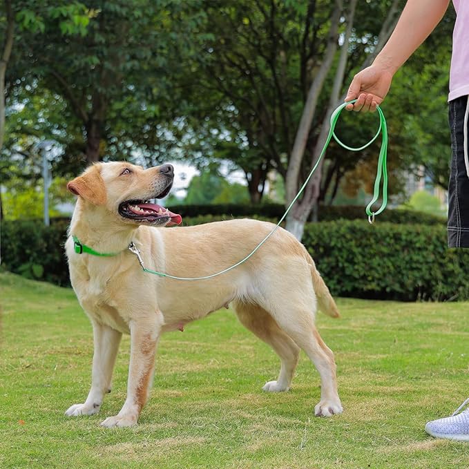 Waterproof Dog Leash, 5/6 FT Durable Odor-Proof Dog Leashes with Strong Metal Hooks Fits Small Medium or Large Dogs (Green, 6FT - 1 inch Width)