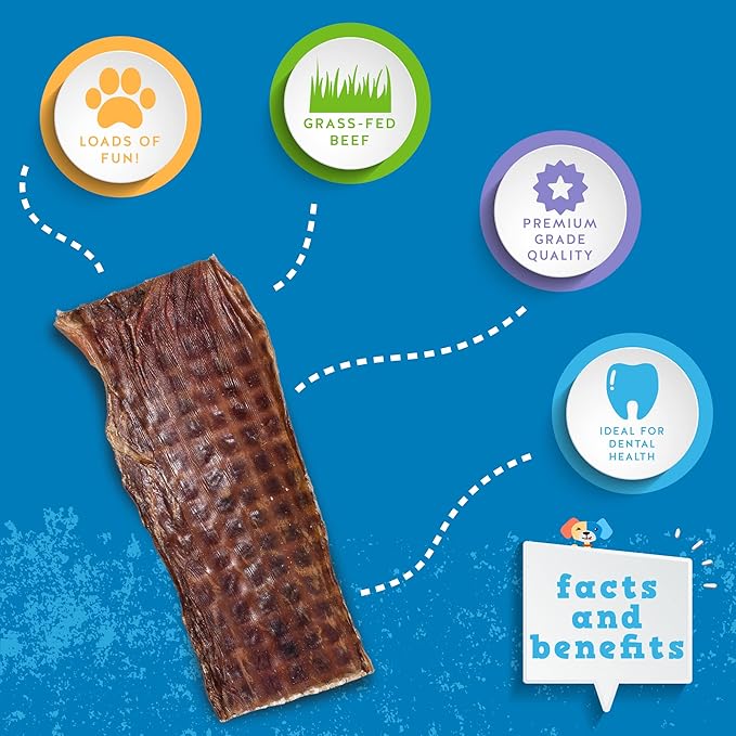 Jack&Pup Gullet Beef Jerky for Dogs (25 Pack) 6" Esophagus Dog Treats, Beef Gullet Sticks for Dogs, Long Lasting Dog Chew