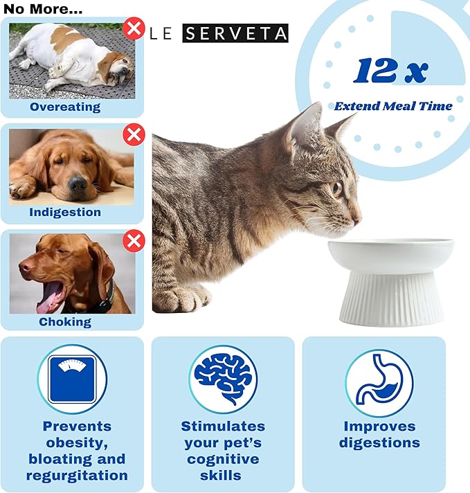 2 Pack Ceramic Slow Feeder Cat Bowl, Raised Puzzle Feeder, Anti Vomiting, Elevated Food Bowl, Whisker Friendly (White)