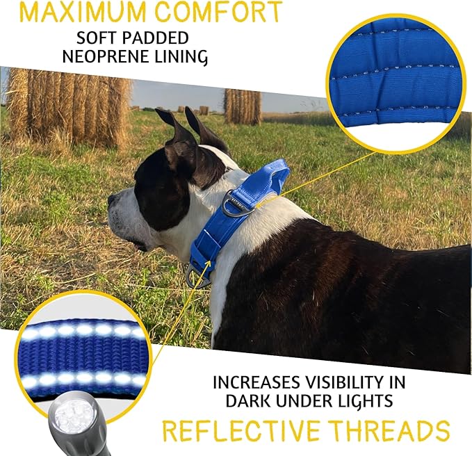 ADITYNA Heavy Duty Dog Collar for Medium Dogs - Reflective Blue Collar with Handle for Training, and Walking - Wide, Thick, Tactical, Soft Neoprene Padded