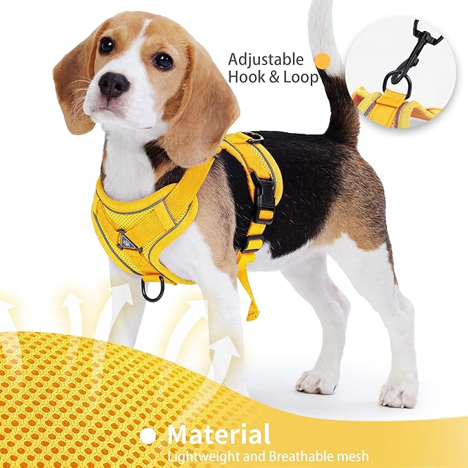 No Pull Dog Harness with Leash Set for Small Sized Dog, Reflective Adjustable No Choke Cat Vest Harness with Breathable Mesh, Comfortable Soft Padded Pet Vest, Yellow L