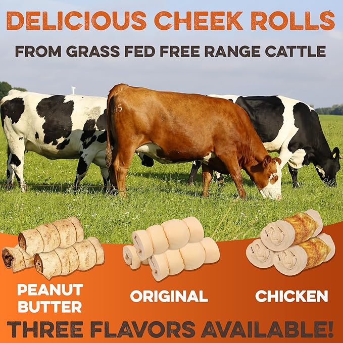 Premium Beef Cheek Rolls for Dogs 5-7" - (10-Pack) Long Lasting, Safe & Natural Rawhide Alternative Chews, Ideal for Large Dogs & Aggressive Chewers, Supports Dental Health & Digestion