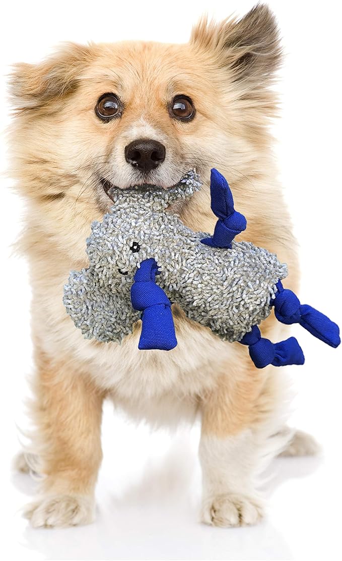 rocket & rex Dog Chew Toy Set for Small to Medium Breeds, Includes a Stuffing Free Rope, Rubber Squeaker and Plush Toy, Reduces Destructive Chewing & Anxiety (Pack of 3)