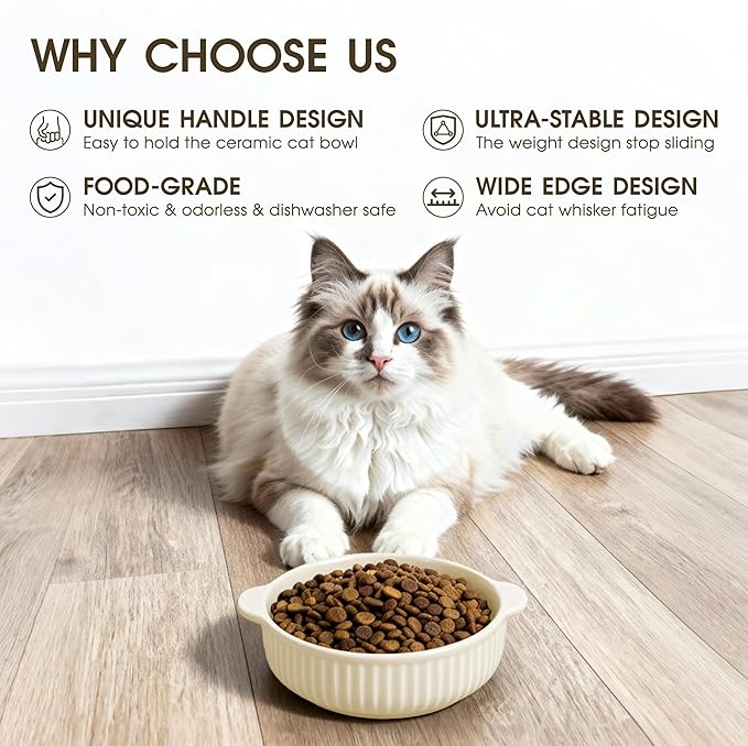 Cat Food Bowl with Handle, 6 inch Ceramic Cat Food and Water Feeder Set, Modern Vertical Texture Design, Kitten Bowls for Indoor Cats and Small Dogs, Microwave Dishwasher Safe, Beige- 2 Pack