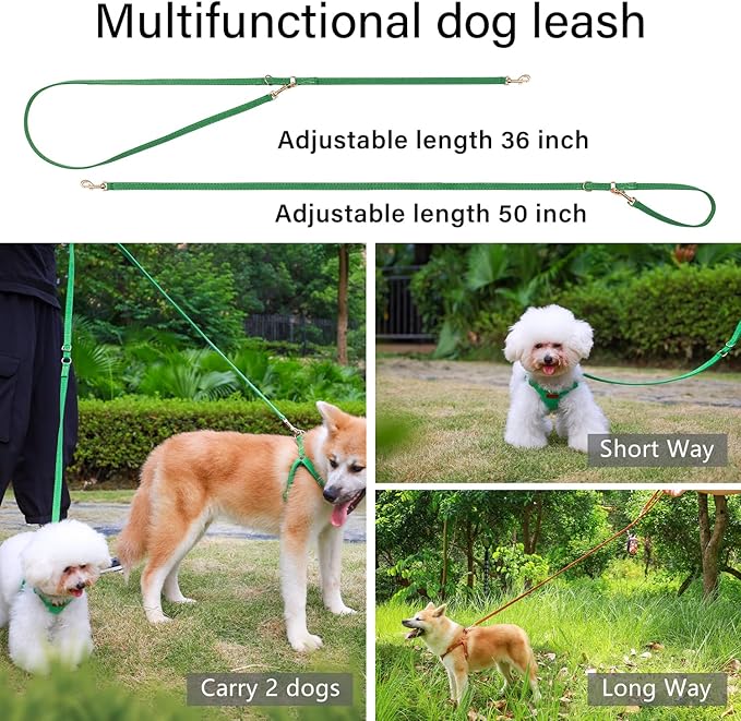 CHEDE No Pull Puppy Harness and Multifunction Dog Leash Set- 8 Colors Soft Adjustable No Choke Escape Proof Cute,Lightweight Pet Vest Harness for Small and Medium Dog (M, Green)