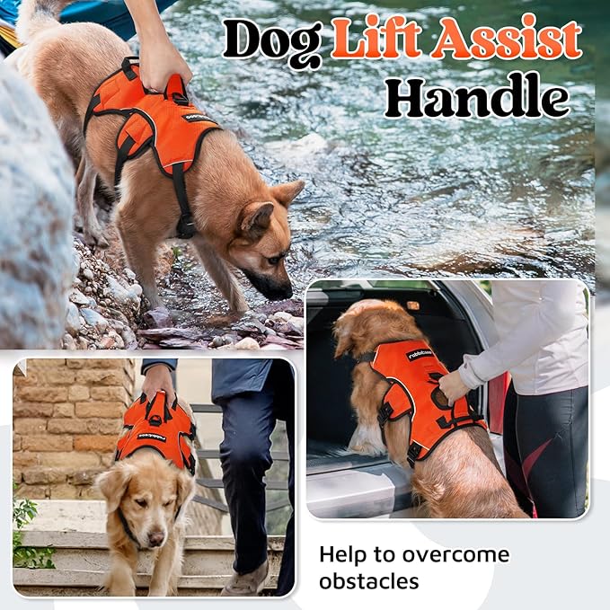 rabbitgoo Escape Proof Dog Harness, Soft Padded Full Body Pet Harness, Reflective Adjustable No Pull Vest with Lift Handle and Leash Clip for Large Dogs Walking Hiking Training, XL, Orange