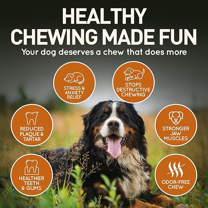 Wildfang® Briar Wood Chewing Root, XL - Splinter Free Wood Dog Chew Toys for Aggressive Chewer, Odorless Natural Teething Toys Dogs Dental Health, Healthy Gums (for Dogs 99-132 lbs), Pack of 1