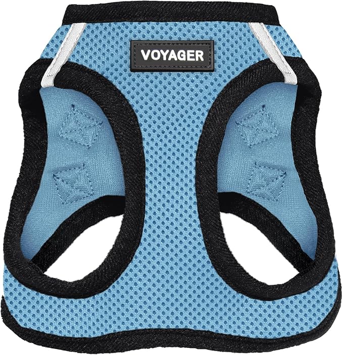 Best Pet Supplies Voyager Step-in Air Harness - All Weather Mesh, Reflective, No Pull Harness for Dogs, Cats - Secure with Hook & Loop Fastener, Buckle, Double D-Rings - Baby Blue/Black Trim, XS