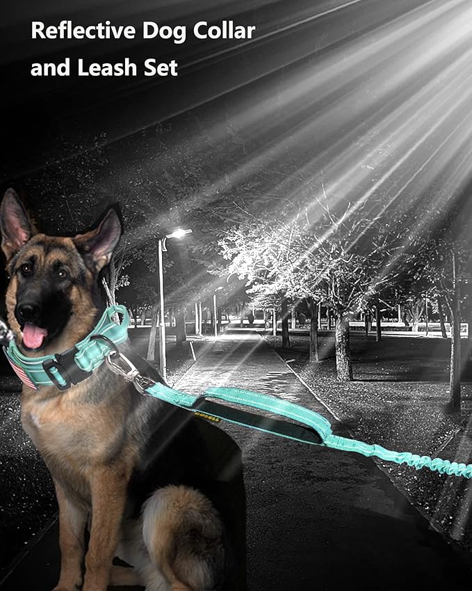 AUBELL Tactical Dog Collar and Leash Set, Reflective Adjustable Heavy Duty Military K9 Collars with Handle and Metal Buckle for Large Dogs, with Airtag Case and 2 Patches(Teal,L)