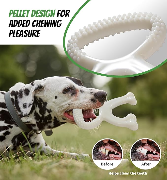 Durable Dog Chew Toy for Aggressive Chewers, Indestructible Nylon Bone Dental Care Teeth Cleaning Chew Toy for Small, Medium and Large Dogs, Keep Them Busy, Irresistible Beef Flavor (White)