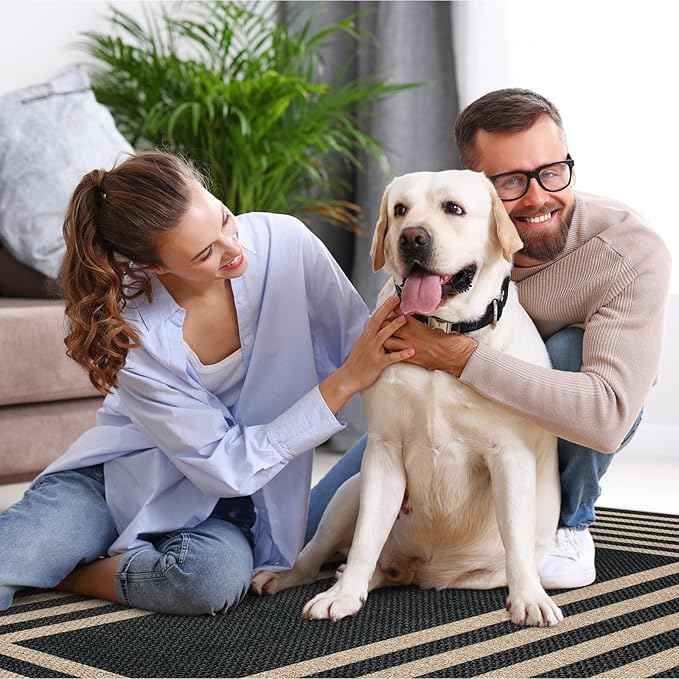 Lahome Modern Geometric Easy Jute Outdoor Rug, 3x5 Black Indoor Outdoor Carpet for Living Room Entryway, Farmhouse Non Slip Non Shedding Washable Area Rug for Patio Courtyard Bedroom