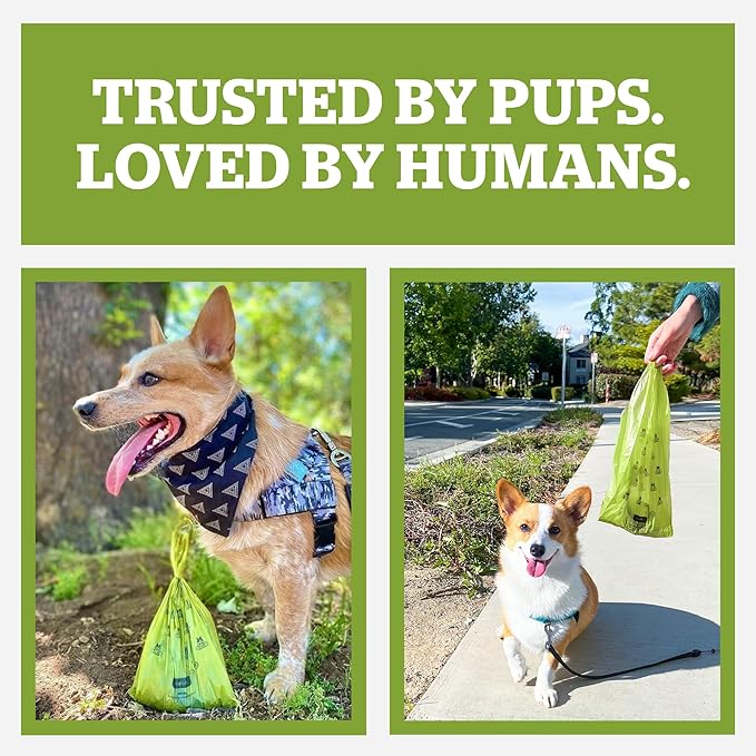 Pogi’s Dog Poop Bags with Handles – Extra-Thick, Leak-Proof, Large, Fresh Scent, 900-Count
