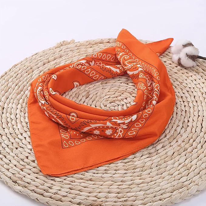 combocube 12 Pack(one Dozen) Multi-Purpose Cotton Paisley Cowboy Bandanas Headband for Men and Women