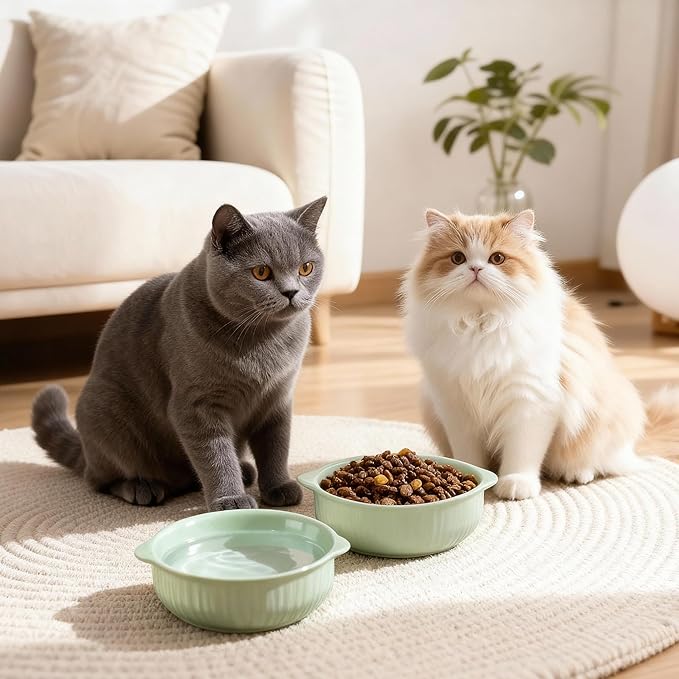 Cat Food Bowl with Handle, 6 inch Ceramic Cat Food and Water Feeder Set, Modern Vertical Texture Design, Kitten Bowls for Indoor Cats and Small Dogs, Microwave Dishwasher Safe, Green - 2 Pack