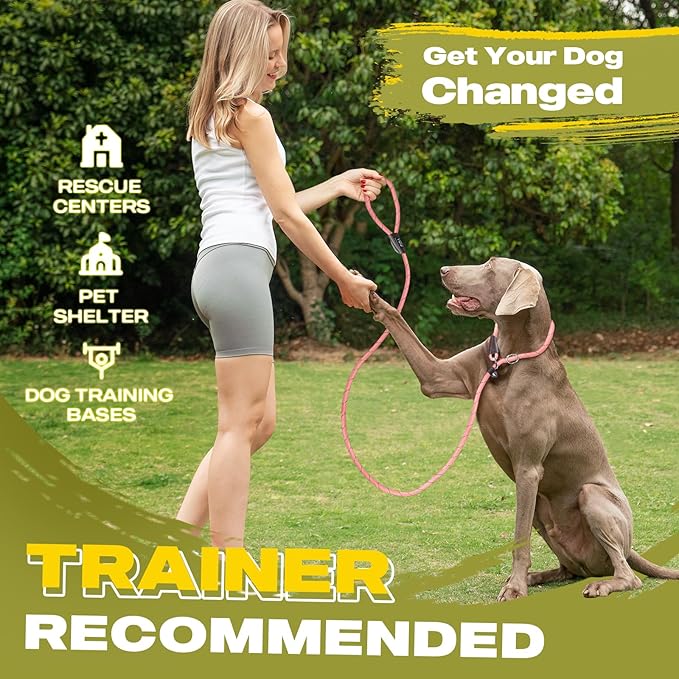 Fida Duarble Slip Leads for Dogs, 4 FT x 1/2" Heavy Duty Dog Loop Leashes, Comfortable Strong Rope Slip Leash for Small Dogs and Puppies, No Pull Pet Training Lead with Highly Reflective(1/2", Pink)