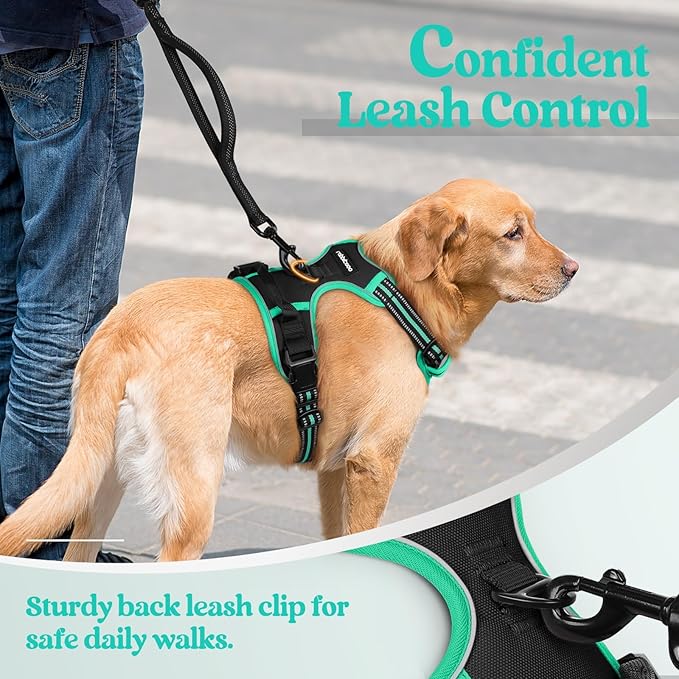 rabbitgoo Dog Harness No Pull with 2 Leash Clips, Adjustable Soft Padded, Reflective Oxford No Choke Pet Vest with Easy Control Handle for Large Dogs, Black & Turquoise, L