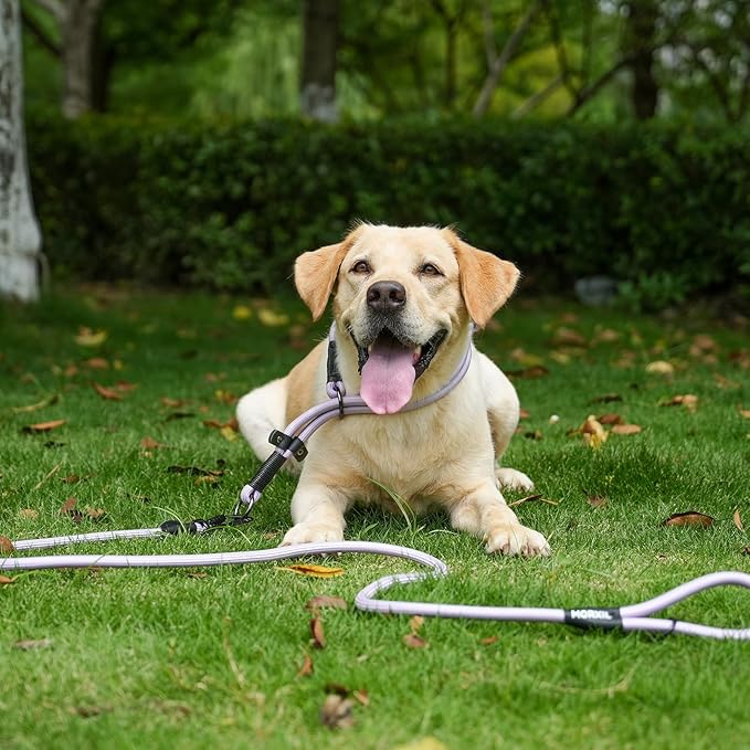 Rope Dog Leash with Two Handles, 6 Foot Heavy Duty Dog Leash with Aviation Aluminum Auto Locking Carabiner, Strong Nylon Pet Lead for Small, Medium, Large Dogs (Blue, 6FT-Two Handle)