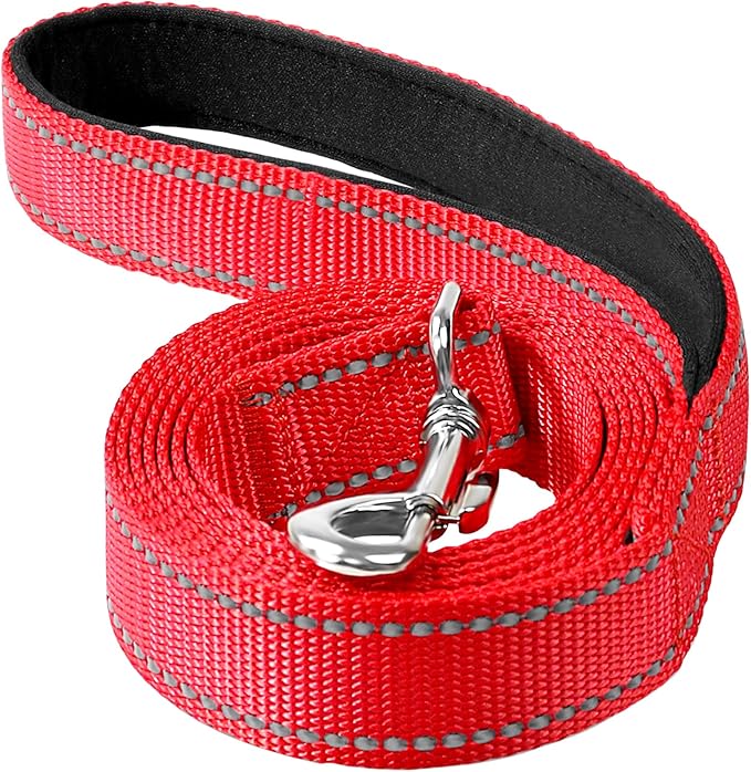 Reflective Dog Leash 4ft Soft Padded Handle Nylon Lead for Small & Medium Dogs, Durable Walking Training Leash for Night Safety (Red,3/4Inch Wide)