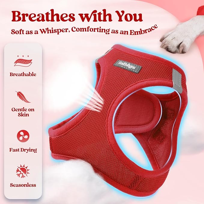 rabbitgoo Dog Harness Small Sized and Leash Set, Step in Soft Light Puppy Vest, Breathable Mesh Pet Harness, Reflective for Outdoor Safe Walking, Red XL