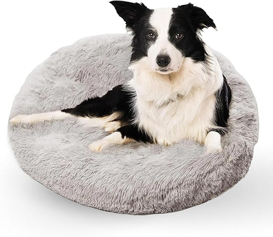 Active Pets Medium Dog Bed, Calming Orthopedic Pet Bedding for Anxiety Relief, Joint Support & Comfort, Washable Dog Furniture, Med 45lbs, Light Grey