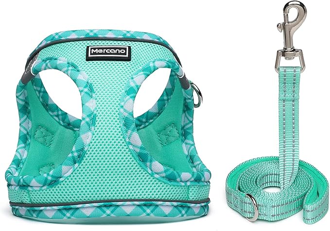 Mercano Soft Mesh Dog Harness and Leash Set, No-Chock Step-in Reflective Breathable Lightweight Easy Walk Vest Harnesses with Safety Buckle for Small Dogs, Cats (Light Green, XL)