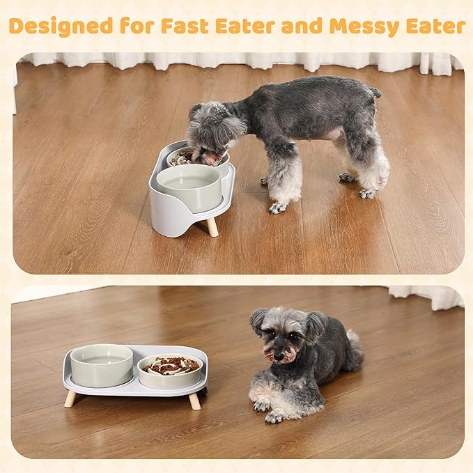 Elevated Slow Feeder Dog Bowls - Ceramic Food and Water Bowl Set with Stand - Raised Pet Dishes for Small and Medium Sized Dogs