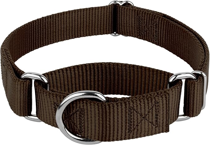 Country Brook Petz - Martingale Dog Collar - Heavy-Duty Training Collar with No Buckle - Service Dog Collar for All Pups - 10+ Warm Colors (Brown, 3/4 Inch, Small)