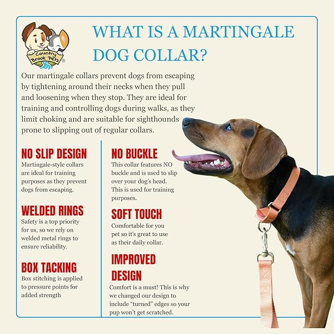 Country Brook Petz - Martingale Dog Collar - Heavy-Duty Training Collar with No Buckle - Service Dog Collar for All Pups - 10+ Warm Colors (Mango, 3/4 Inch, Small)