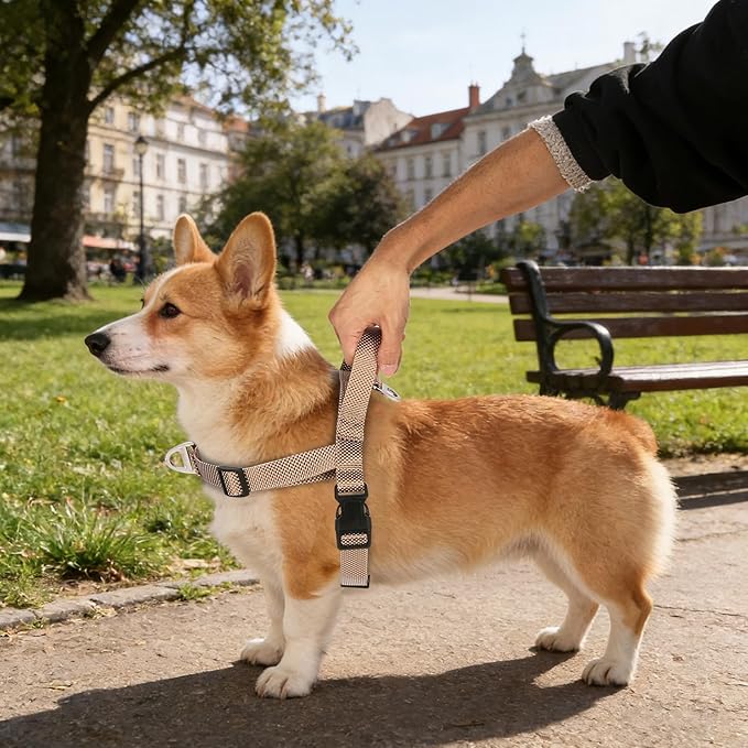 Annchwool No Pull Dog Harness with Front Clip and Easy Control Handle-Belly & Chest Adjustable Dog Harness and Leash Set for Small Medium Dogs-Heavy Duty Vest Harnesses Easy for Walking(Brown,S)
