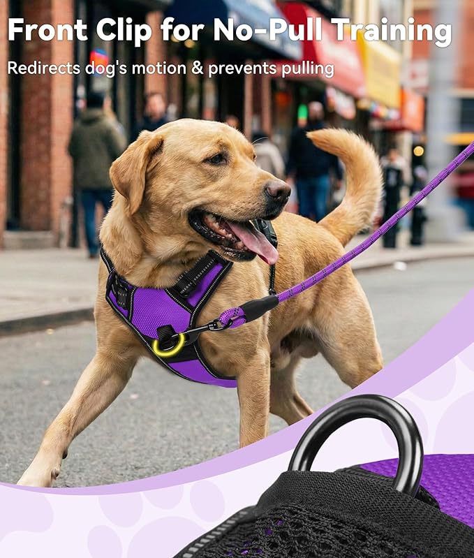 Joytale No Pull Dog Harness for Small Dogs, Reflective Pet Vest with Front Clip, Adjustable Soft Padded Harnesses with Easy Control Handle for Training and Walking, Purple, S