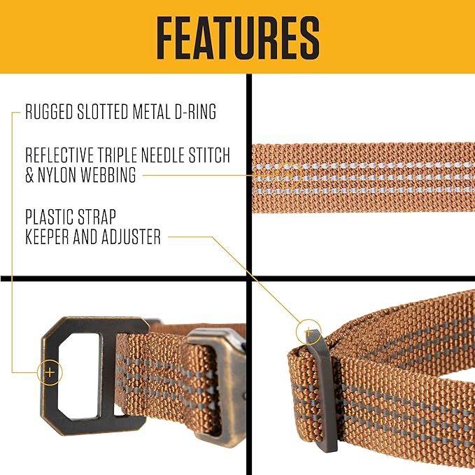 Carhartt Nylon Webbing Dog Collar, Fully Adjustable W/Durable Side Release Buckle, Coral Glow, Medium