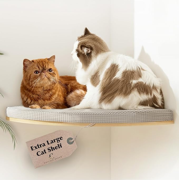 Extra Large 31.5" x 20" CALLICO HAVEN- Corner Cat Wall Shelf, Modern Wall Cat Bed, Corner Wall Hammock for Cats, Space-Saving Wall Cat Tree Bed, Sturdy/Hidden Mounts, Washable Cover- Fan Shape