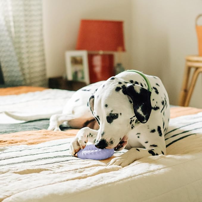 Playology Dog Toys | Dual Layer Ring Durable Chew Toy for Aggressive Chewers | Jumbo Lamb Scented Toy - Easy to Clean and Made from Non Toxic Materials