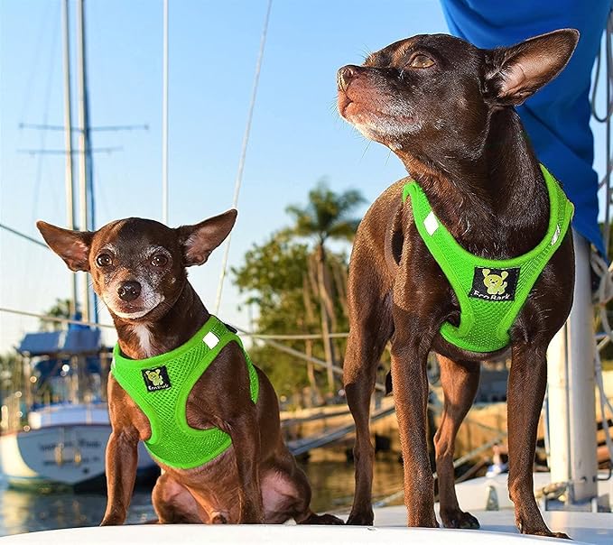 EcoBark Rapid Fastener Super Comfort Fully Adjustable Double Padded Step in Dog Harness (XXS, Green)