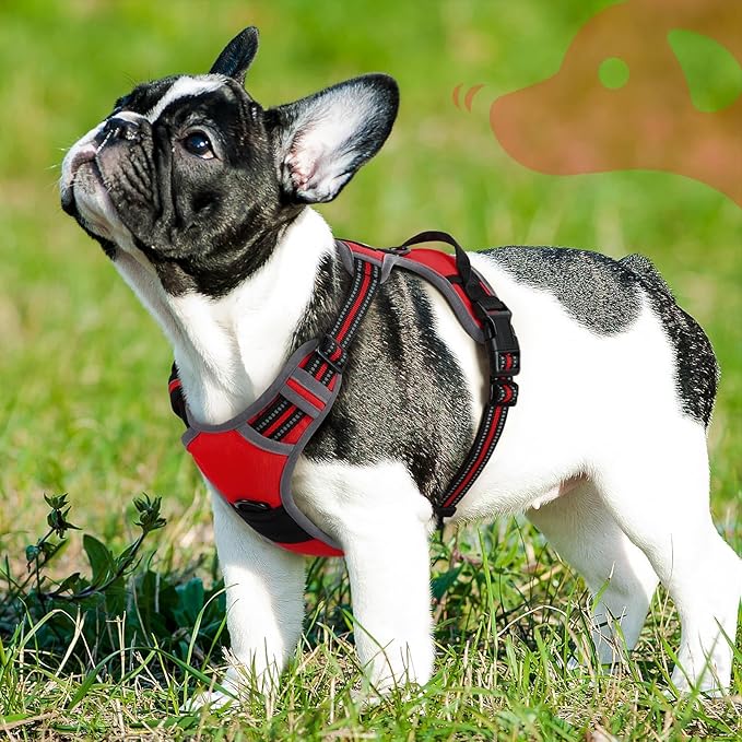 Eagloo Dog Harness Small Sized Dog, No Pull Service Vest with Reflective Strips and Control Handle, Adjustable and Comfortable for Easy Walking, No Choke Pet Harness with 2 Metal Rings, Red, S