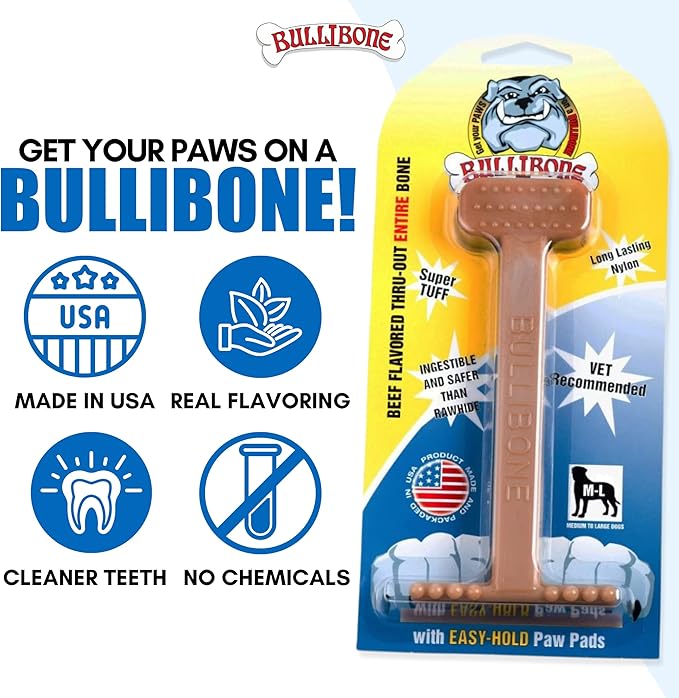 Bullibone Nylon Dog Chew Toy for Aggressive Chewers - Dental Hygiene Bone with Beef Flavor, Durable Tough Chew Toys for Small Dogs, Indestructible Dog Bone - 3 Pack