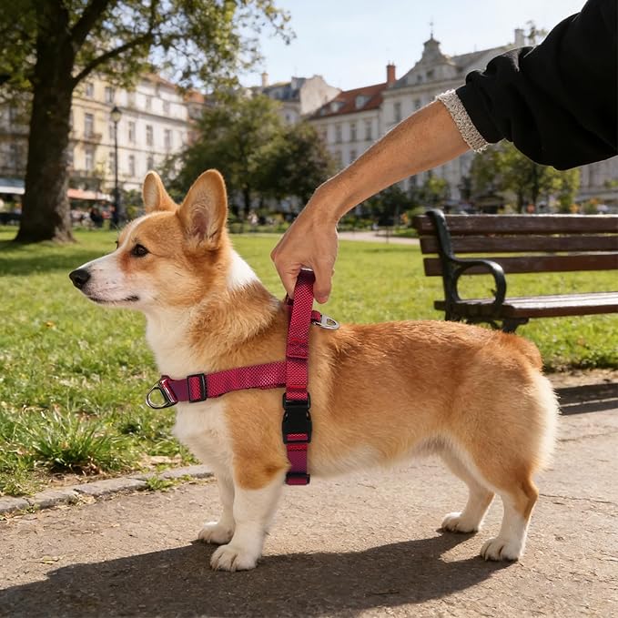 Annchwool No Pull Dog Harness with Front Clip and Easy Control Handle-Belly & Chest Adjustable Dog Harness and Leash Set for Medium Large Dogs-Heavy Duty Vest Harnesses Easy for Walking(Red,M)