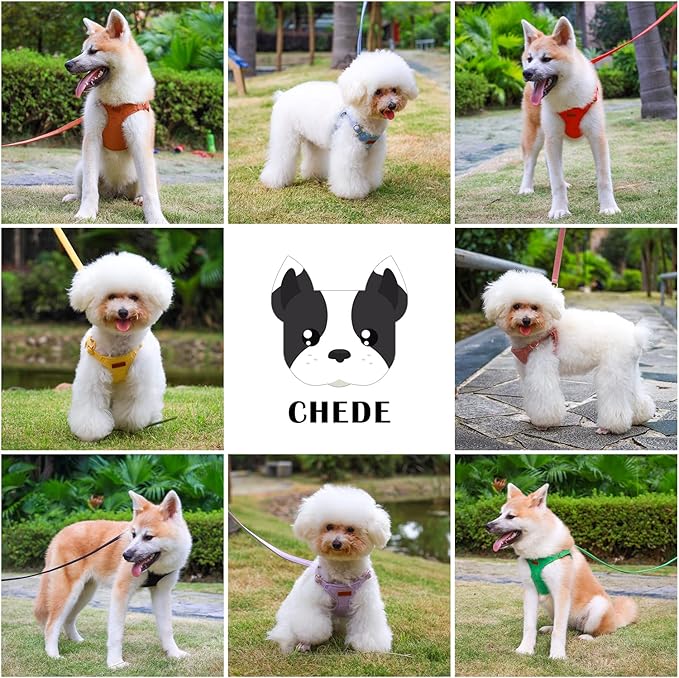 CHEDE No Pull Puppy Harness and Multifunction Dog Leash Set- 8 Colors Soft Adjustable No Choke Escape Proof Cute,Lightweight Pet Vest Harness for Small and Medium Dog (M, Green)