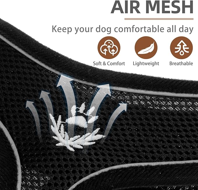PUPTECK Soft Mesh Dog Harness and Leash Set Pet Puppy Cat Comfort Padded Vest No Pull Harnesses