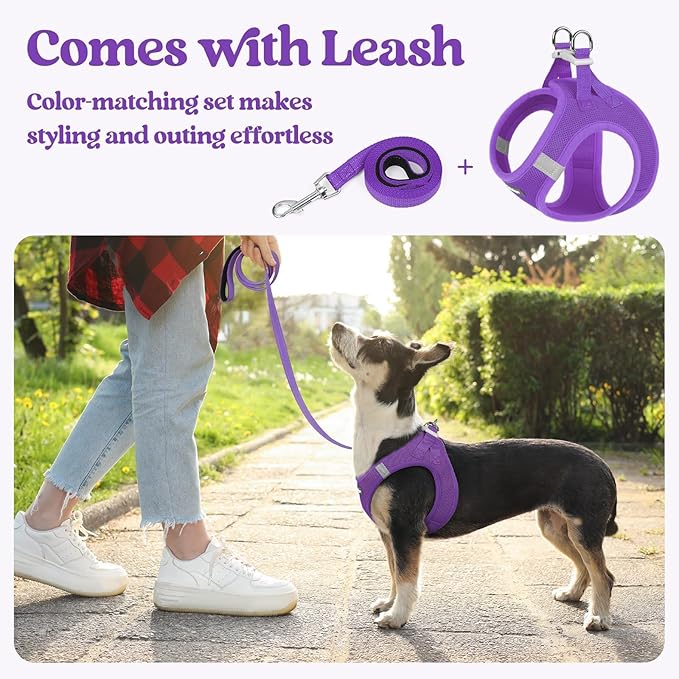 rabbitgoo Dog Harness Small Sized and Leash Set, Step in Soft Light Puppy Vest, Breathable Mesh Pet Harness, Reflective for Safe Outdoor Walking, Purple M